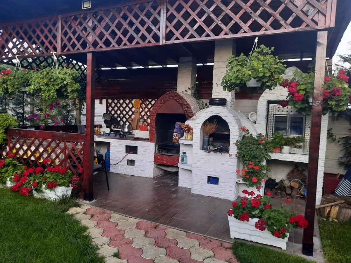 Casa Mona Villa Oradea Exterior photo